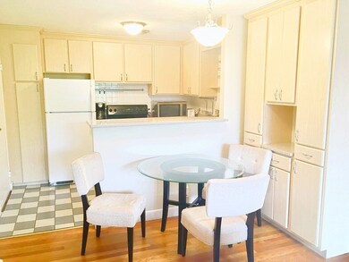 1105 Lexington St unit 107, Waltham, MA 02452 - photo 2