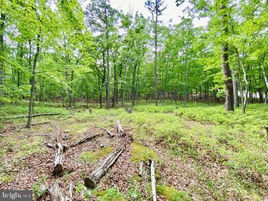 0 Lost River Ridge Cir unit WVHD2001560, Wardensville, WV 26851 - photo 4