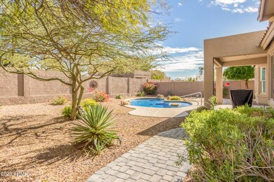 Backyard oasis