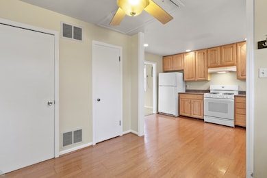 926 S 6th Ave, Des Plaines, IL 60016 - photo 3