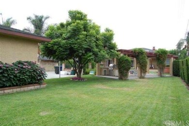 Rear yard with mature landscaping & room for veget