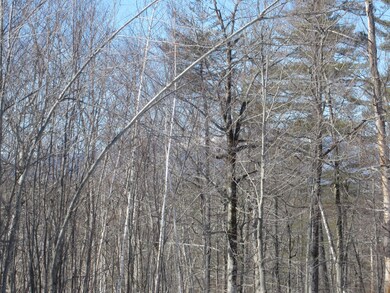 15 A-2 Lovell Rd, Sweden, ME 04040 - photo 4