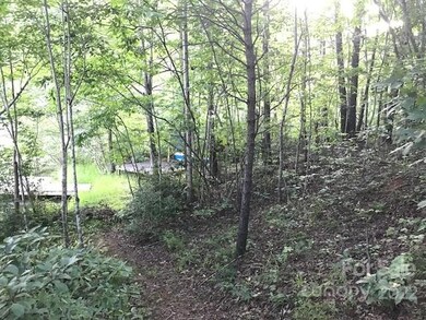 0000 Mallard Rd, Lake Lure, NC 28746 - photo 4
