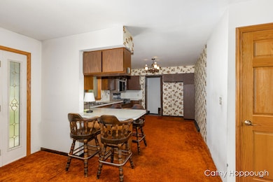 1100 Hayes Rd, Muir, MI 48860 - photo 7