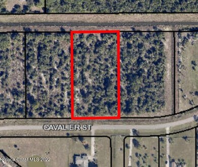 BCPAO - Property Search