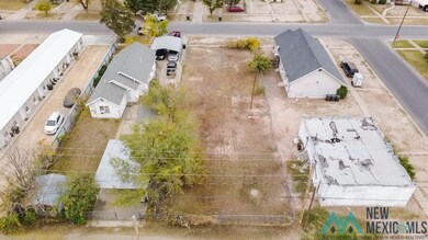 310 N Mesquite St, Carlsbad, NM 88220 - photo 3