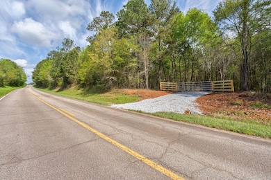 0 Skull Shoals Rd unit 23220093, Washington, GA 30673 - photo 4