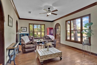 Living room featuring ceiling fan, ornamental mold