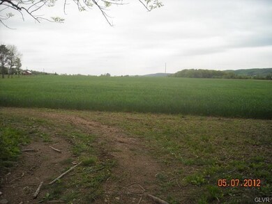 0 Saint Peters Rd unit 448250, Andreas, PA 18211 - photo 6