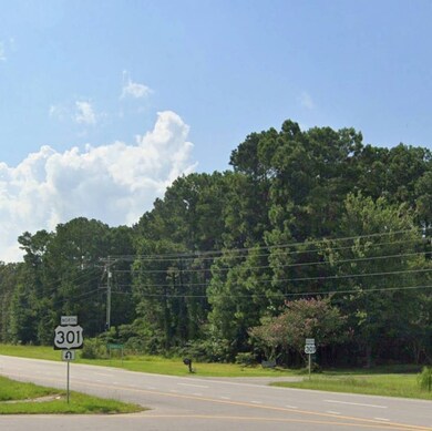 0 Hwys 301 & S-38-82 70 09910024 unit 11418779, Santee, SC 29142 - photo 7