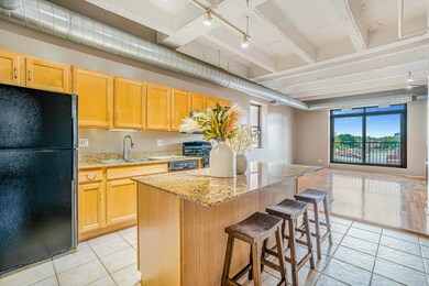 Rennaissance Place unit 318, Chicago, IL 60615 - photo 4