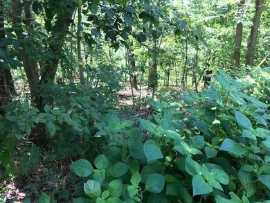 Lot 3 Leona Dr, Bella Vista, AR 72715 - photo 4