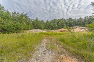 Shinbone Property-6
