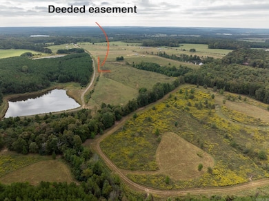 000 Goff Rd Via Easement, Quitman, AR 72131 - photo 3