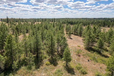 35390 Prairie Ln N unit Lot 5, Creston, WA 99117 - photo 7