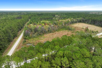 TBD Honey Hill Ct, Ridgeland, SC 29936 - photo 4