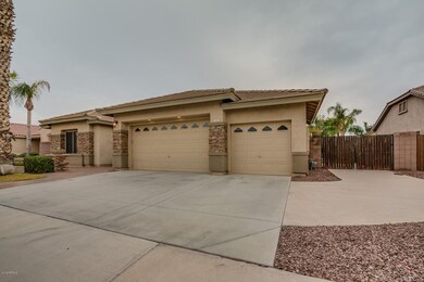 Kaibab-01 (2) Front 1.1