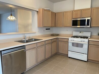 9347 Harrison St unit 271493, Des Plaines, IL 60016 - photo 2