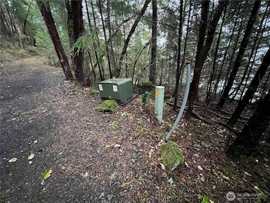 649 Shore Rd, Orcas Island, WA 98245 - photo 6