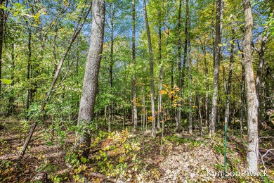 12923 Triple Oak Dr NE, Vergennes Township, MI 49331 - photo 7