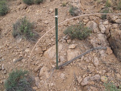 Image of NE Property Corner
