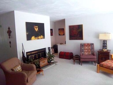 342 Hemlock Cir, Lincoln, MA 01773 - photo 5