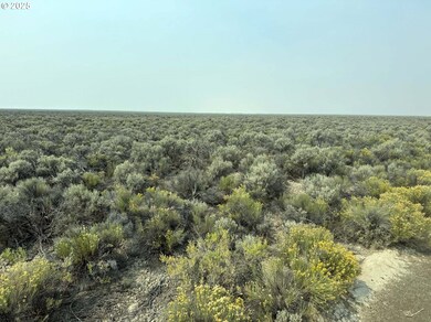 0 Christmas Valley Hwy unit 600, Christmas Valley, OR 97641 - photo 5