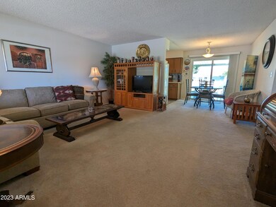 9205 N 107th Dr, Sun City, AZ 85351 - photo 6