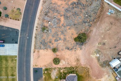 Parcel-20253076-Snowflake-AZ-4