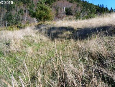 29689 Bear Mountain Rd, Gold Beach, OR 97444 - photo 3