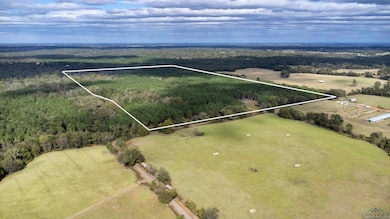 TBD Wolf Rd, Pittsburg, TX 75686 - photo 2