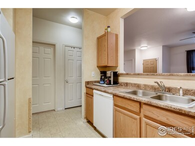 1736 Reilly Grove, Colorado Springs, CO 80951 - photo 5