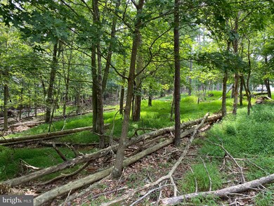 0 Big Sky Ln unit WVMO116644, Berkeley Springs, WV 25411 - photo 3