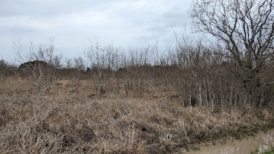 0 Bobwhite unit 84676240, Brookshire, TX 77423 - photo 2