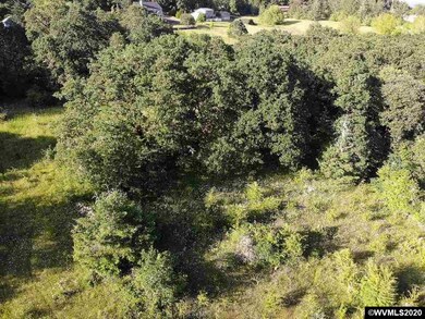 0 Baker Creek (Parcel #473776) Rd unit 766110, McMinnville, OR 97128 - photo 3