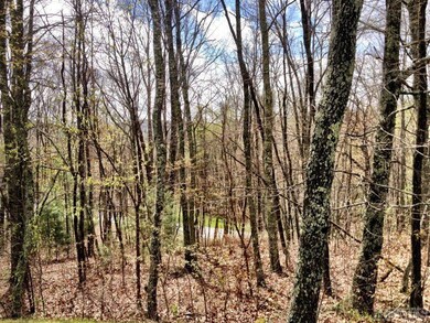 10 Trellis Ln, Cullowhee, NC 28723 - photo 6