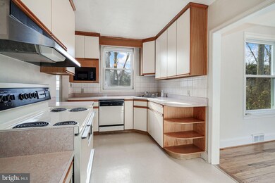 6710 Oak Dr, Alexandria, VA 22306 - photo 7