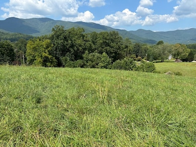 9.12 Mission Hill Rd, Hayesville, NC 28904 - photo 3