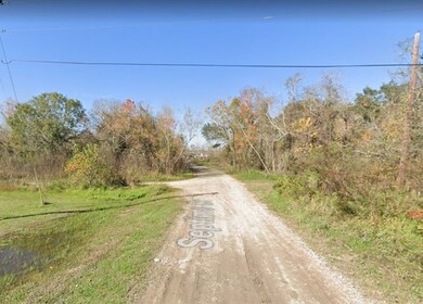 4815 El Lago Dr, Brazoria, TX 77422 - photo 4