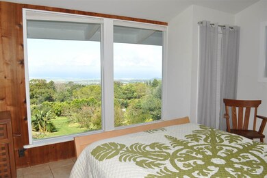 1690 Piiholo Rd, Makawao, HI 96768 - photo 6