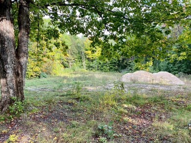 46 Farrington Rd, Gorham, ME 04038 - photo 5