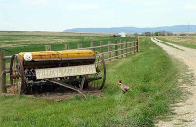 1961 Mccartney Rd, Grass Range, MT 59032 - photo 2
