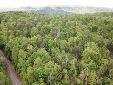 DJI_0002