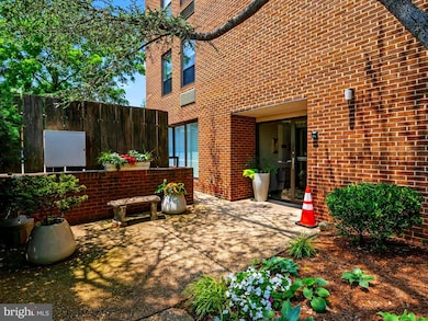 316 Burnside St unit 101, Annapolis, MD 21403 - photo 3