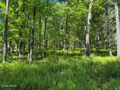 Lot 17 Woodlyn Acres Rd, Berlin Township, PA 18428 - photo 7