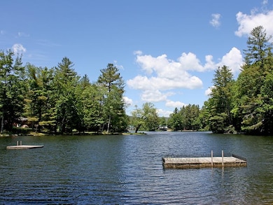 Lot 51 Partridge Rd, Ludlow, VT 05149 - photo 3