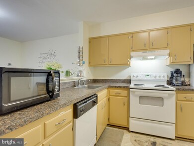 3839 El Camino Place unit 14, Alexandria, VA 22309 - photo 5