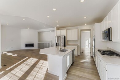 3954 Buttongrass Trail, Castle Rock, CO 80108 - photo 3