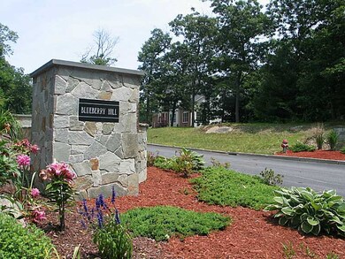 Entry. BLUEBERRY HILL -3 Lots on Rock Way & 3 lots