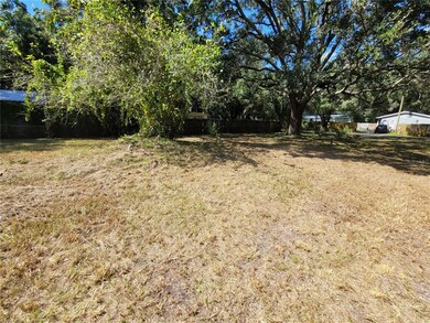 10216 Lake Ave, Tampa, FL 33619 - photo 6